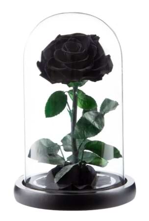 Everlasting Rose Black