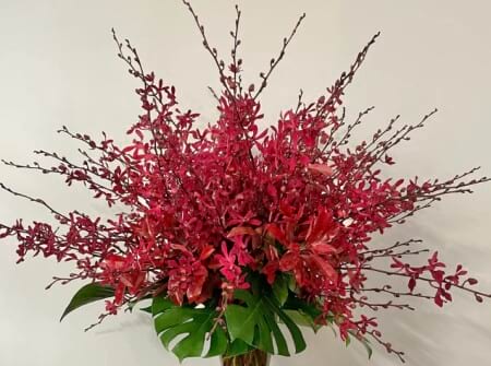 James Storie Orchid - Red