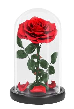 Everlasting Rose Red