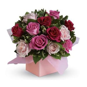 Rambling Rose