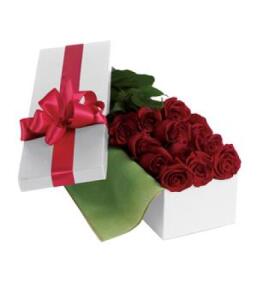 Roses For You